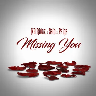 Missing You by Paige