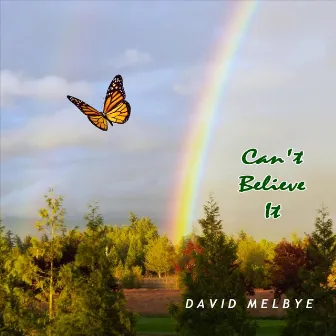 Can't Believe It by David Melbye