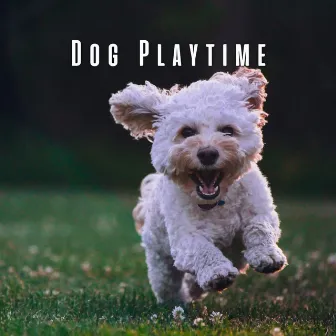 Dog Playtime: Happy Lofi Harmonies for Joyful Paws by Lofi geek