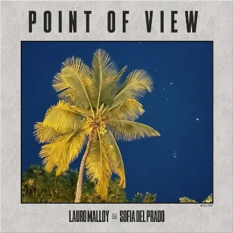 Point of View (P.O.V) by Lauro Malloy