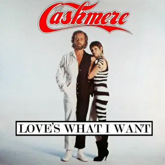 Love's What I Want by Cashmere