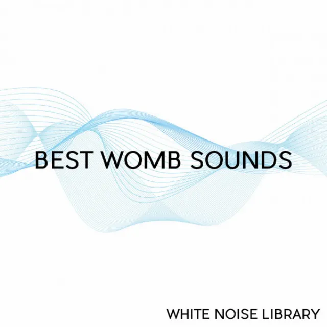 Womb Sound 1 - Loopable With No Fade