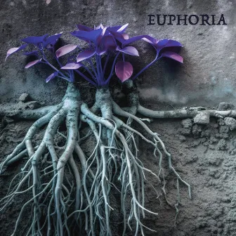 Euphoria by Trevor McNevan