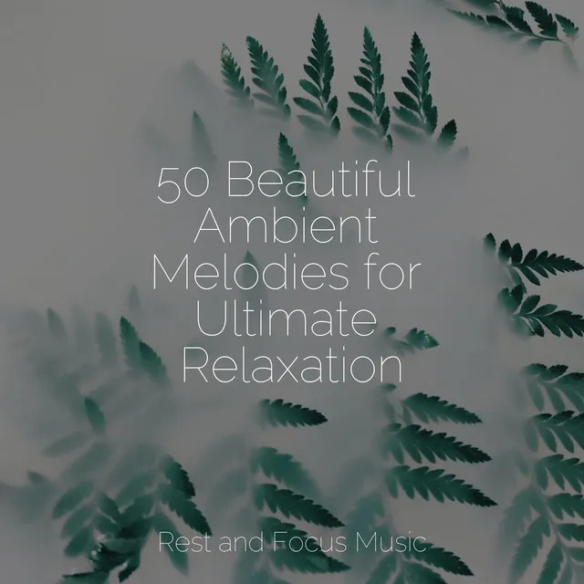 50 Beautiful Ambient Melodies for Ultimate Relaxation