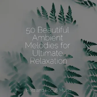 50 Beautiful Ambient Melodies for Ultimate Relaxation by Kinderlieder-Superstar