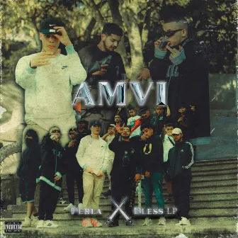 AMVI by Bless LP