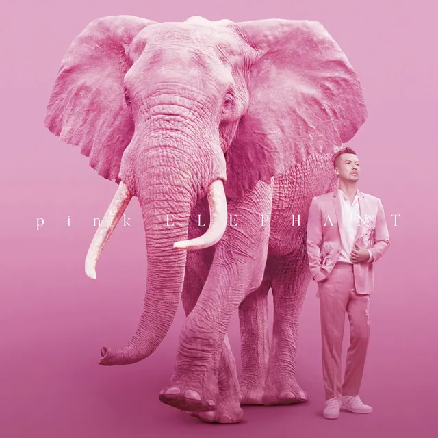 pink ELEPHANT