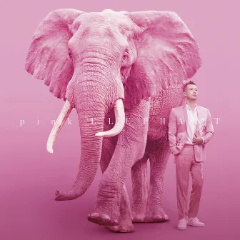 pink ELEPHANT by Toshinori Yonekura