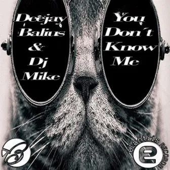 You Don`t Know Me by DJ Mike