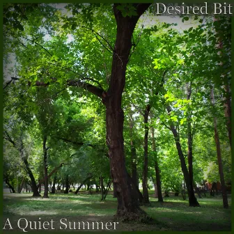 A Quiet Summer by Desired Bit