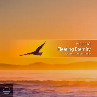 Fleeting Eternity (Andrew Frenir Remix) by Edonia