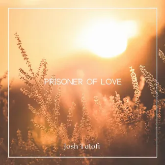 Prisoner of Love by Josh Tatofi