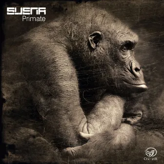 Primate by Suena