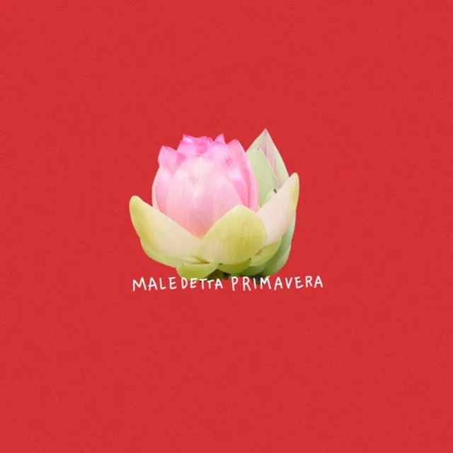 Maledetta primavera (with Mama Marjas)