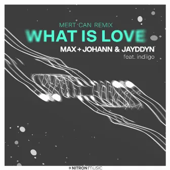 What Is Love (feat. indiigo) [Mert Can Remix] by Jayddyn