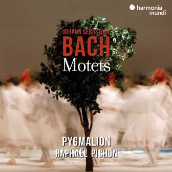 Johann Sebastian Bach: Motets by Ensemble Pygmalion