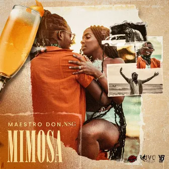 Mimosa by Maestro Don