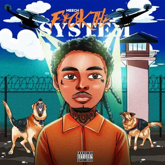 Fuck The System by Meech