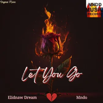 Let You Go by Elidnaw Dream