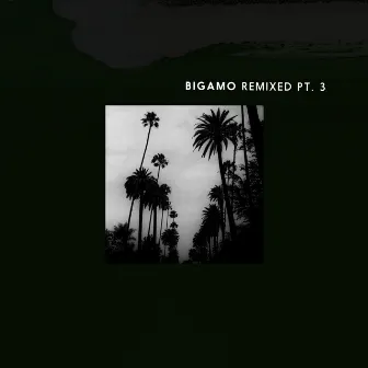 Bigamo Remixed Pt. 3 by Bigamo