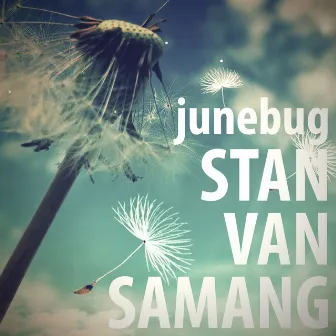 Junebug by Stan Van Samang