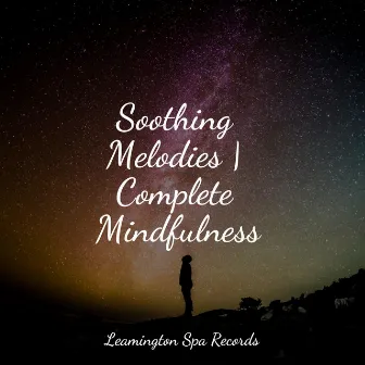 Soothing Melodies | Complete Mindfulness by Deep Sleep