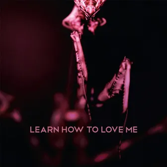 Learn How To Love Me by Stareaway