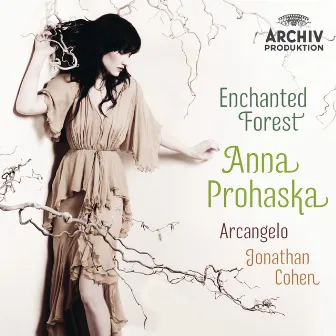 Enchanted Forest by Anna Prohaska