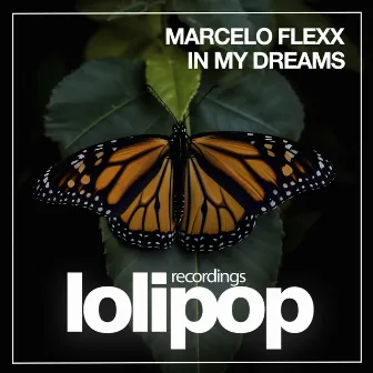 In My Dreams by Marcelo Flexx