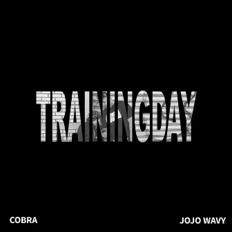 Trainingday by Cobra