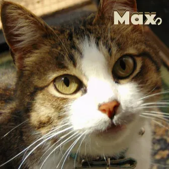 Max by Gui