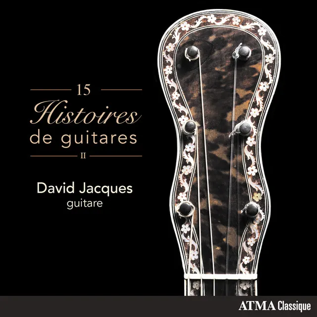 15 Histoires de guitares