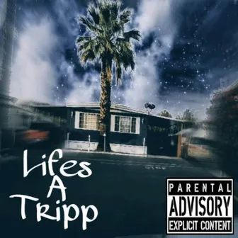 Lifes a Tripp by YS NUEVE