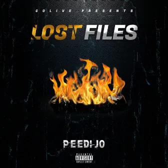 Lost Files by Peedi Jo