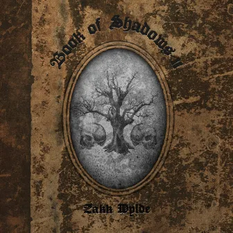 Book Of Shadows II by Zakk Wylde