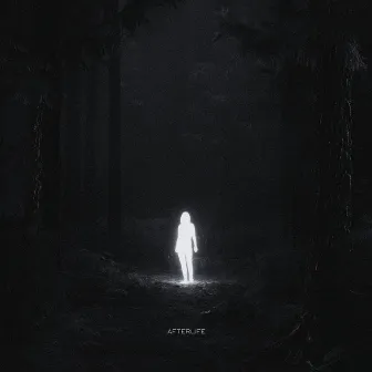 Afterlife by DSPTE