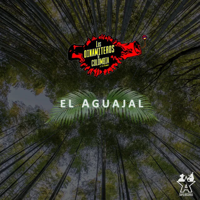 El Aguajal