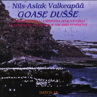 Goase dušše (The Bird Symphony) by Nils-Aslak Valkeapää