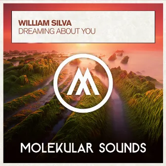 Dreaming About You by William Silva