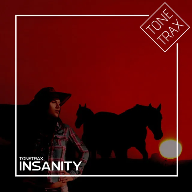 Insanity - House Radio Cut