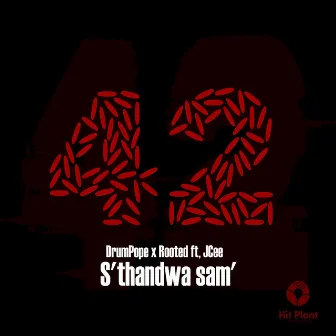 S'thandwa sam by Rooted