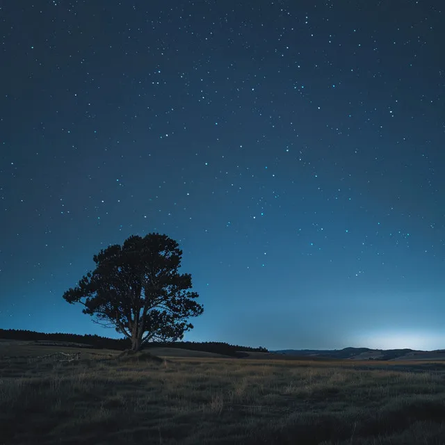 Suaves Melodías Relajantes Para Dormir