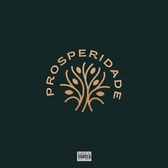 Prosperidade by Mc Lk Da Cp