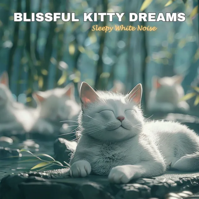 Calm Cat Sanctuary: Soothing Sleep Melodies