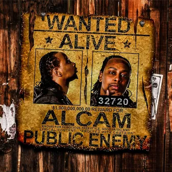 Public Enemy by Alcam