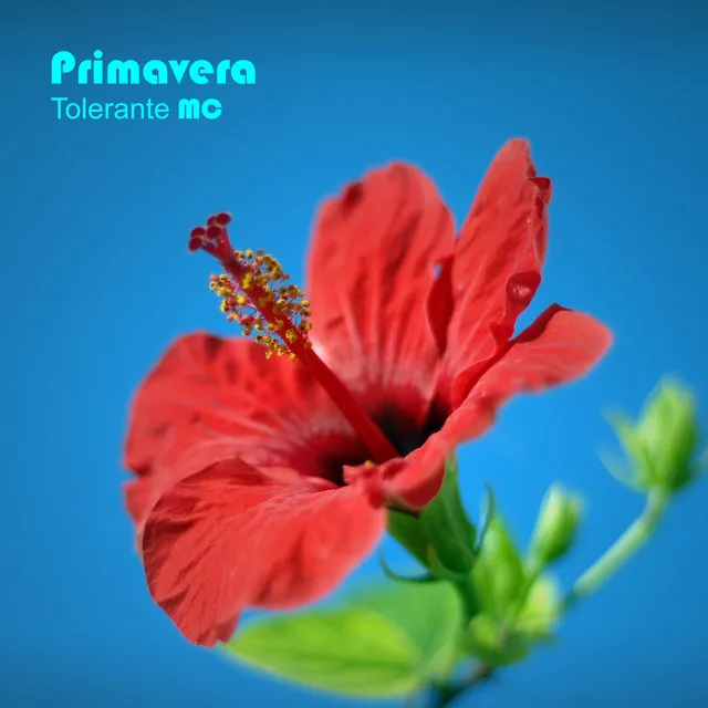 Primavera