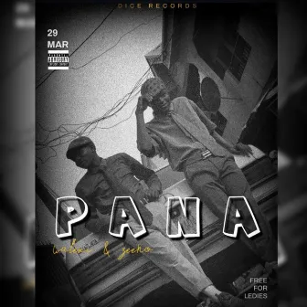 PANA by Dice Records