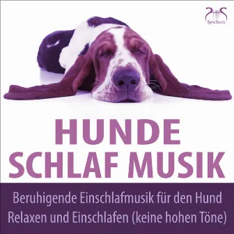 Hunde Schlaf Musik - Beruhigende Einschlafmusik für den Hund, Relaxen und Einschlafen (keine hohen Töne) by Hunde Musik TA