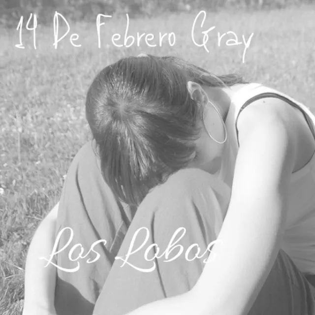 14 de Febrero Gray