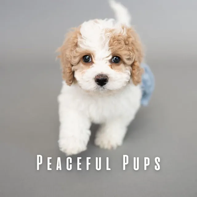 Peaceful Pups: Ambient Music for Contented Dogs